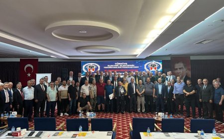 Elektrik Elektronik Sektöründe Sorunlar ve Çözüm Yolları: Antalya Eğitim Semineri Değerlendirmesi